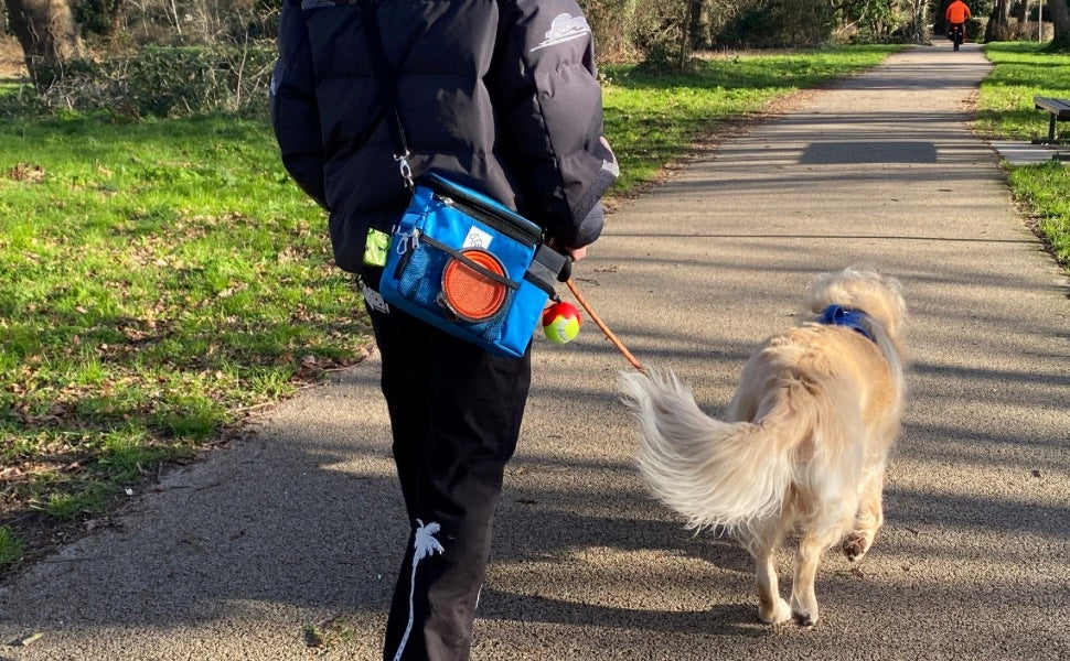 TAIL TRIBE Dog Walking Bag. UK Brand dog treat pouch includes removable liner, dog walking accessories water bowl, poop bags & training clicker