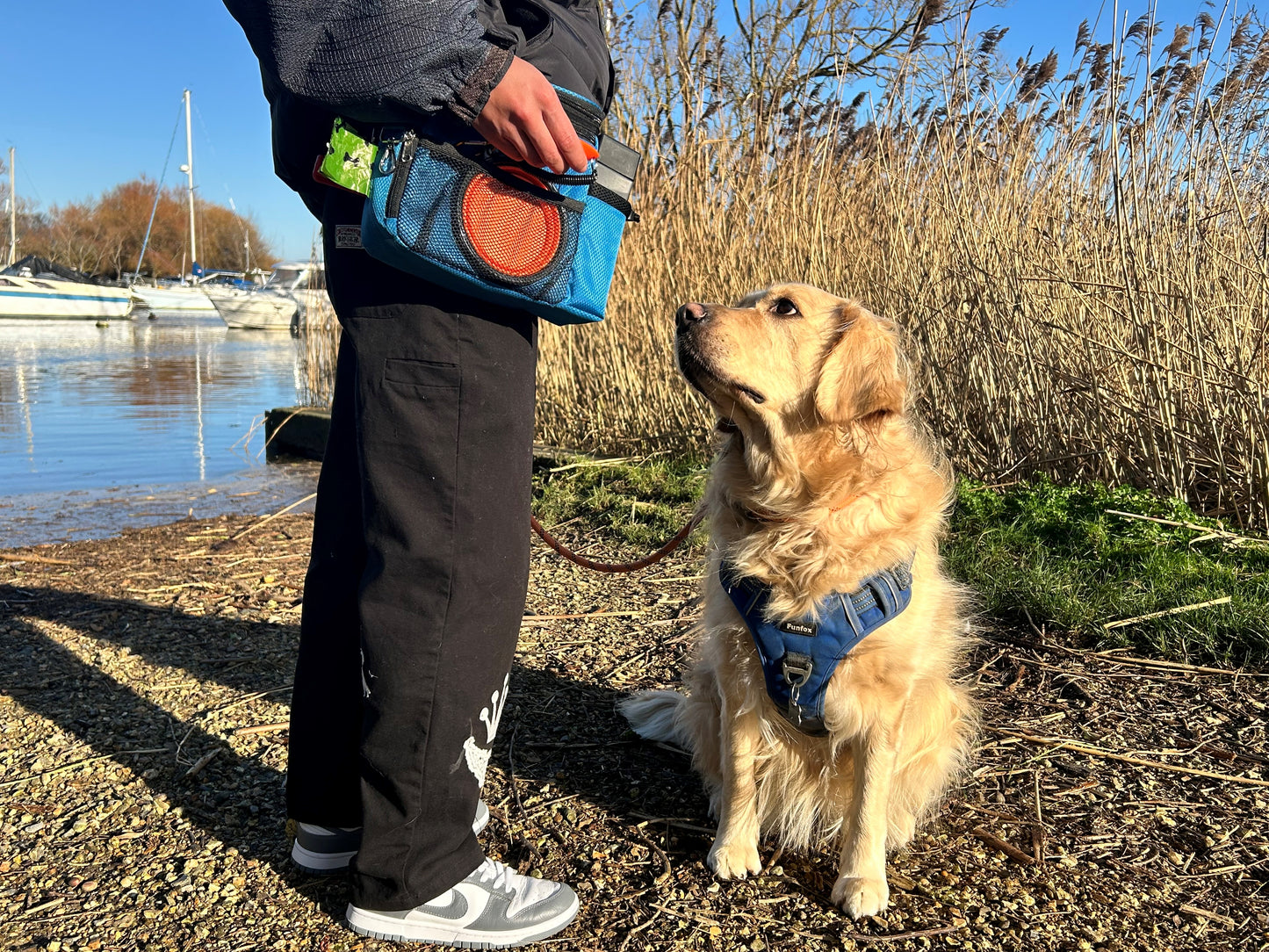 TAIL TRIBE Dog Walking Bag. UK Brand dog treat pouch includes removable liner, dog walking accessories water bowl, poop bags & training clicker