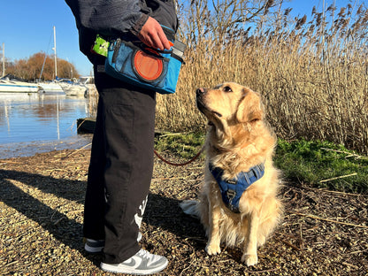 TAIL TRIBE Dog Walking Bag. UK Brand dog treat pouch includes removable liner, dog walking accessories water bowl, poop bags & training clicker